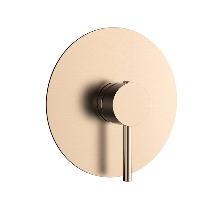 Round shower kit with pressure balancing valve | SP102 21