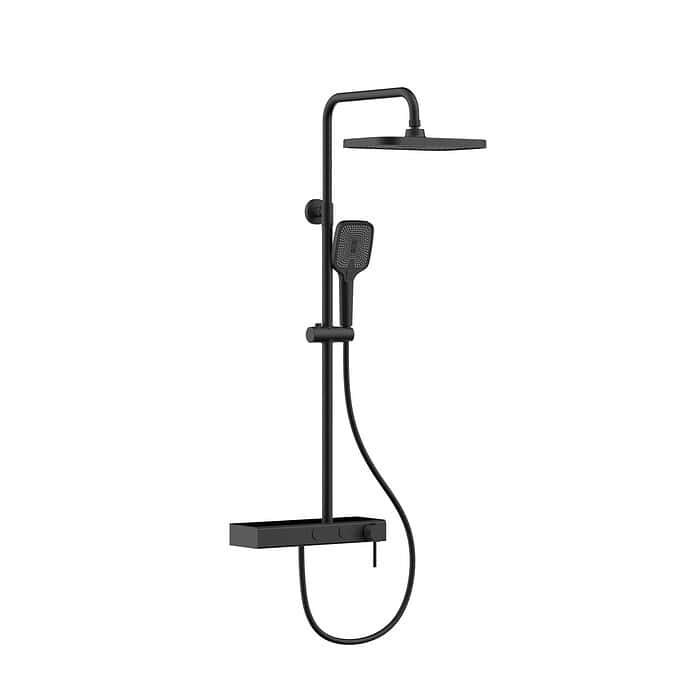 2-function shower faucet with a handheld showerhead