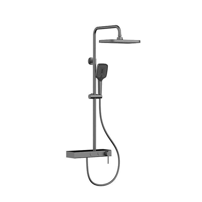 2-function shower faucet with a handheld showerhead